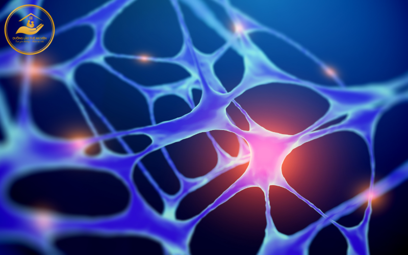 Bài tập thăng bằng phòng chống té ngã cho người già