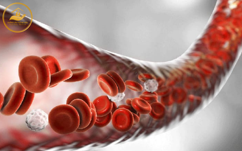 Kỹ thuật xoa bóp bấm huyệt trong phục hồi 