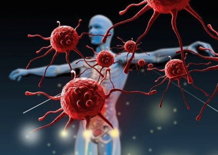 Từ trường trị liệu giảm đau