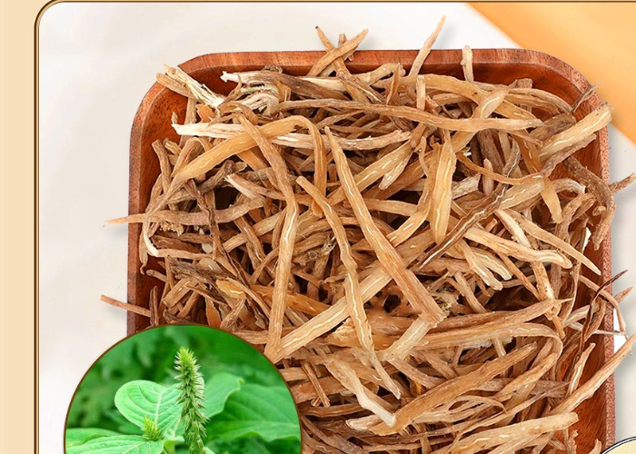 Bài thuốc Đông y trị suy giãn tĩnh mạch chân hiệu quả