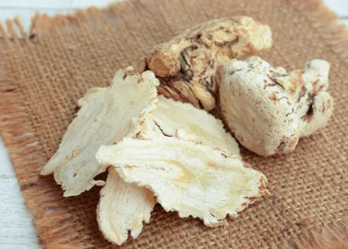 Bài thuốc Đông y trị suy giãn tĩnh mạch chân hiệu quả