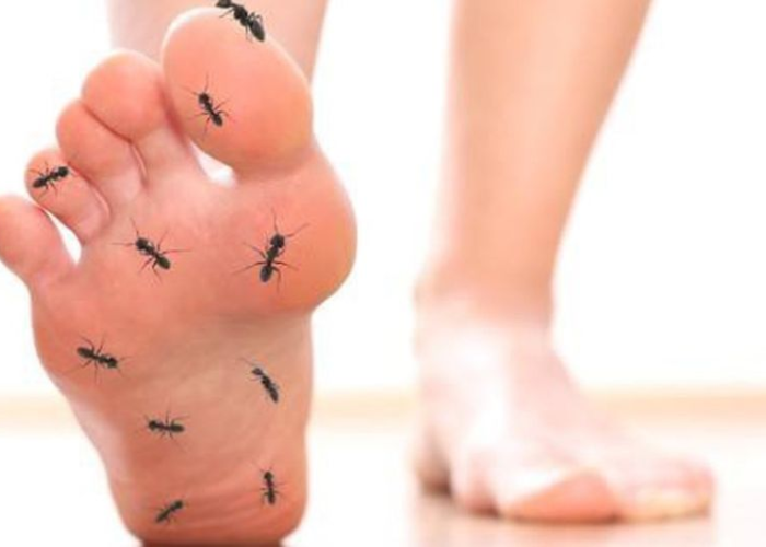 Cảm giác kiến bò ở chân