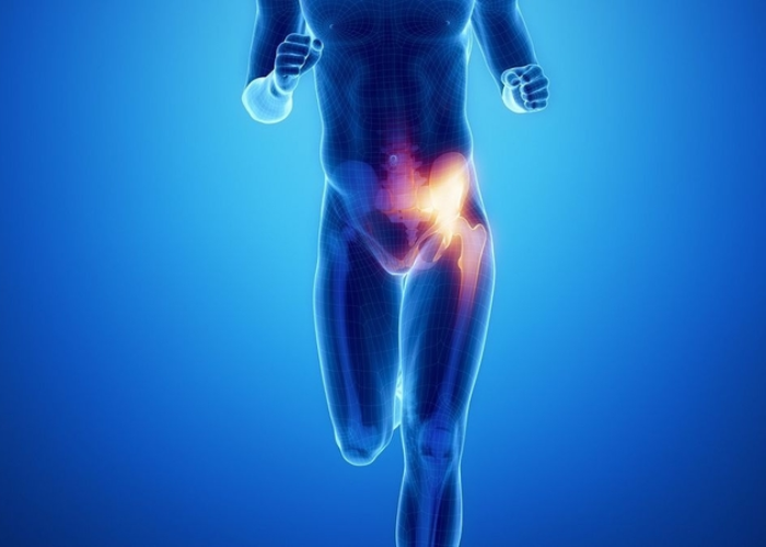Dấu hiệu thoái hóa khớp háng ở người cao tuổi